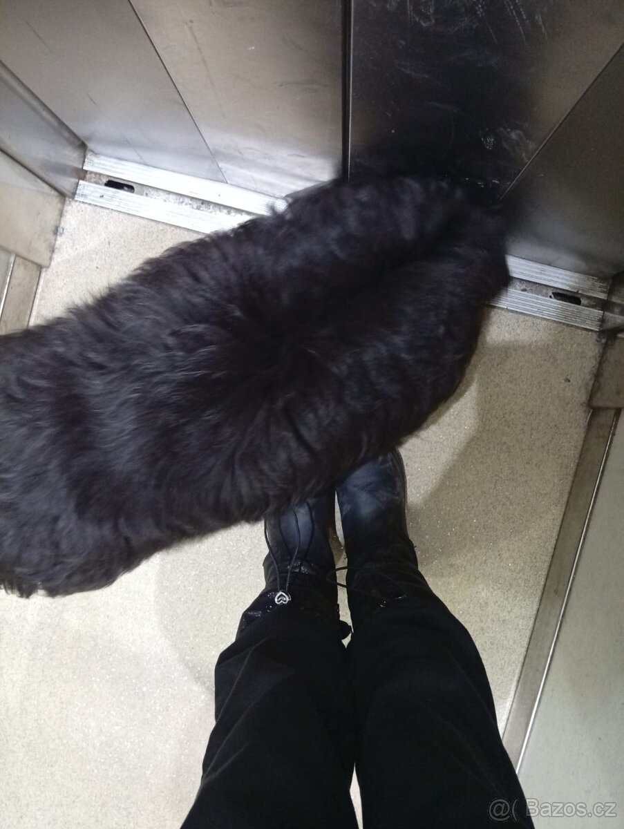 Prodám štěně - 2