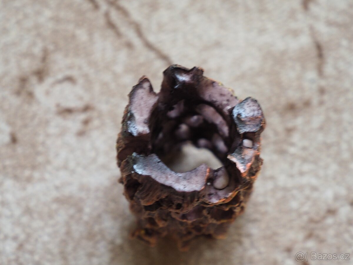 Úkryt pro ryby a krevetky. - 2