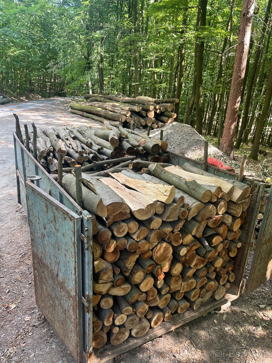 Palivové dřevo tvrdé - 2