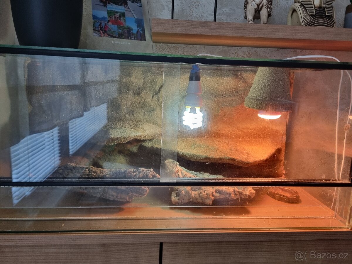 Terarium vhodne pro Agamu - 2