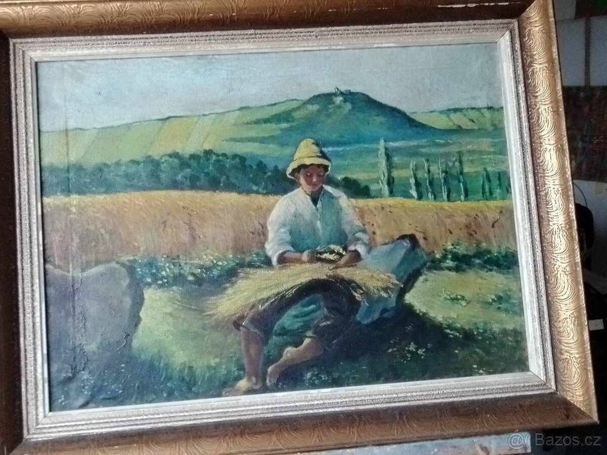 Chlapec ve Žních. Neznámý autor. Olej/plátno-rám. - 2