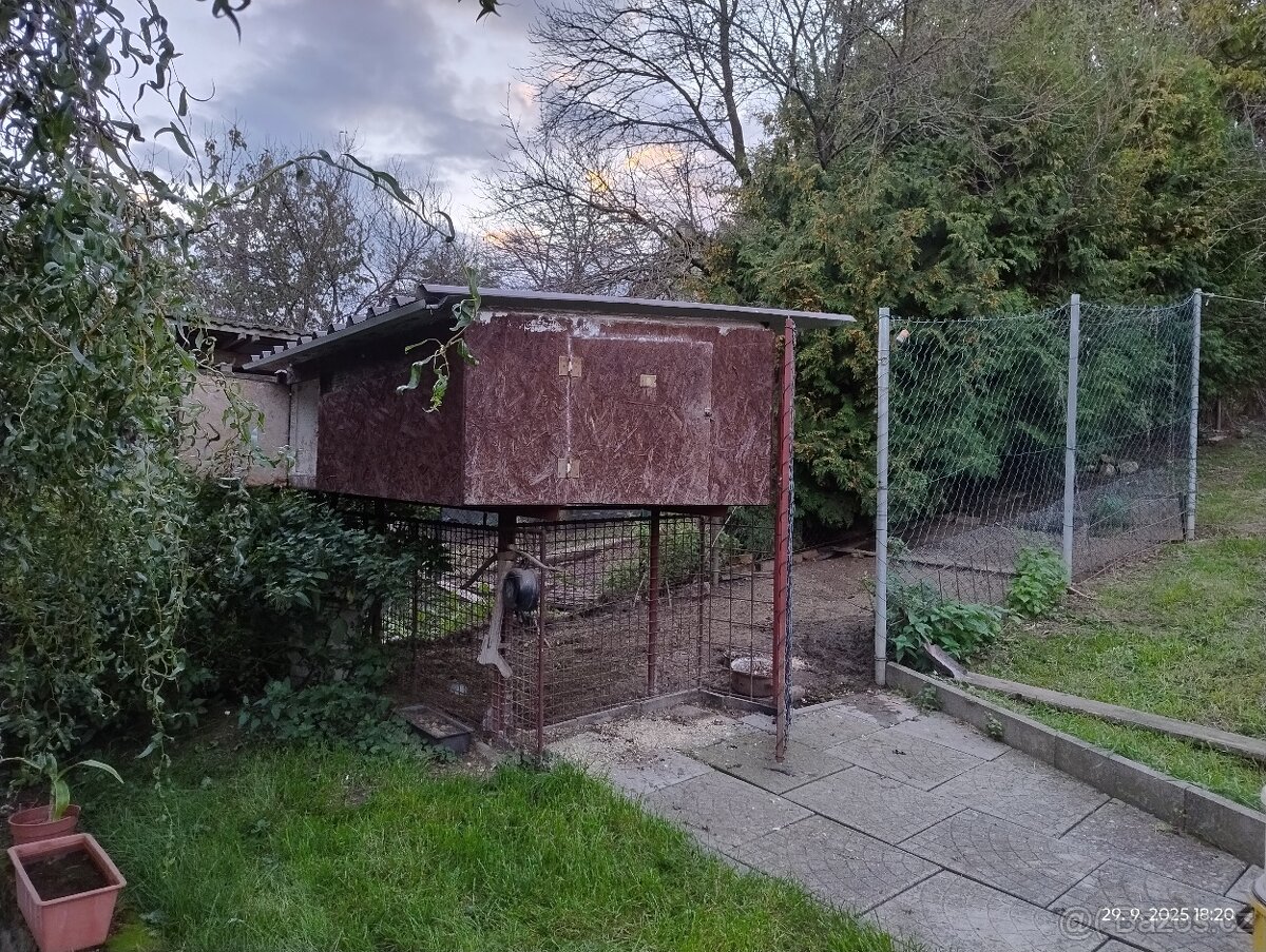 Kurník pro slepice - 2