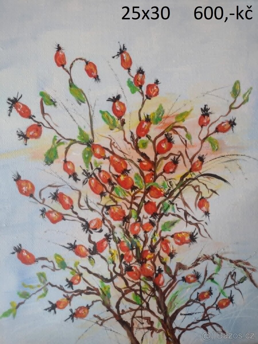 Ručně malované obrazy,akryl na plátně - 2