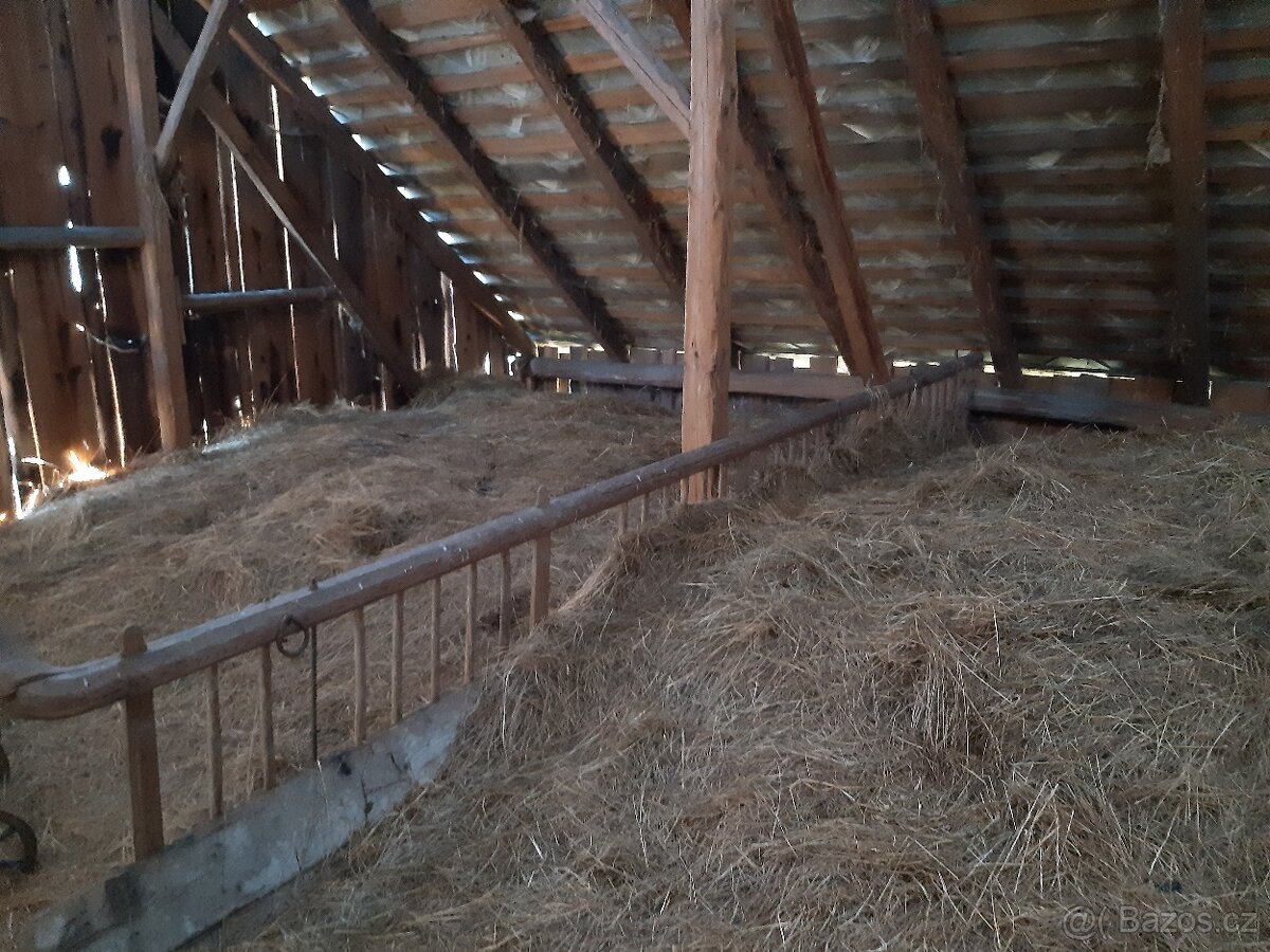 Daruji seno za odvoz - 2