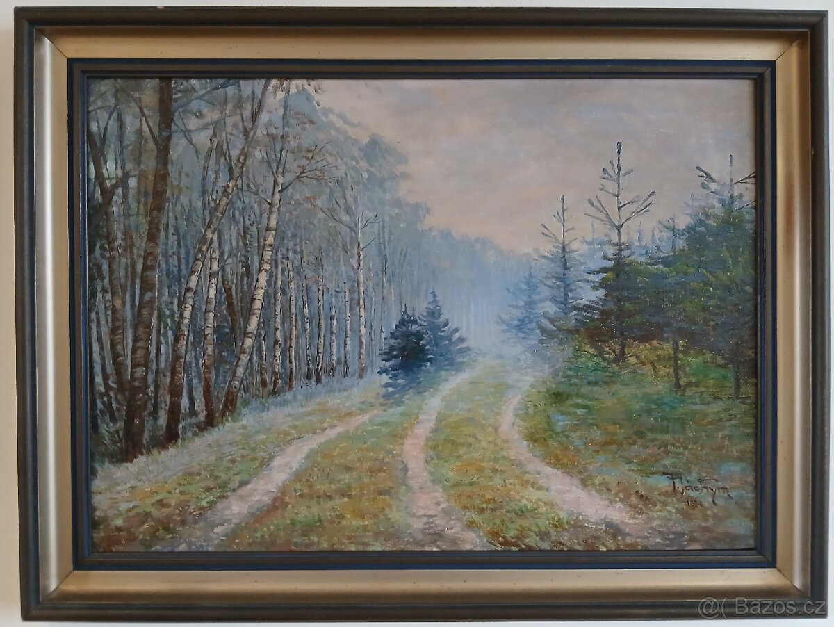 Jan Jáchym - Lesní cesta - Obraz - 2