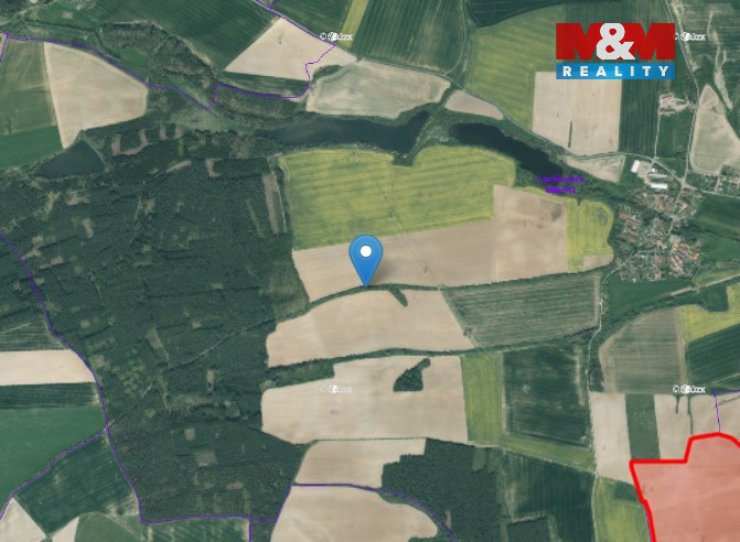 Prodej louky, 6482 m², Lochousice - 2