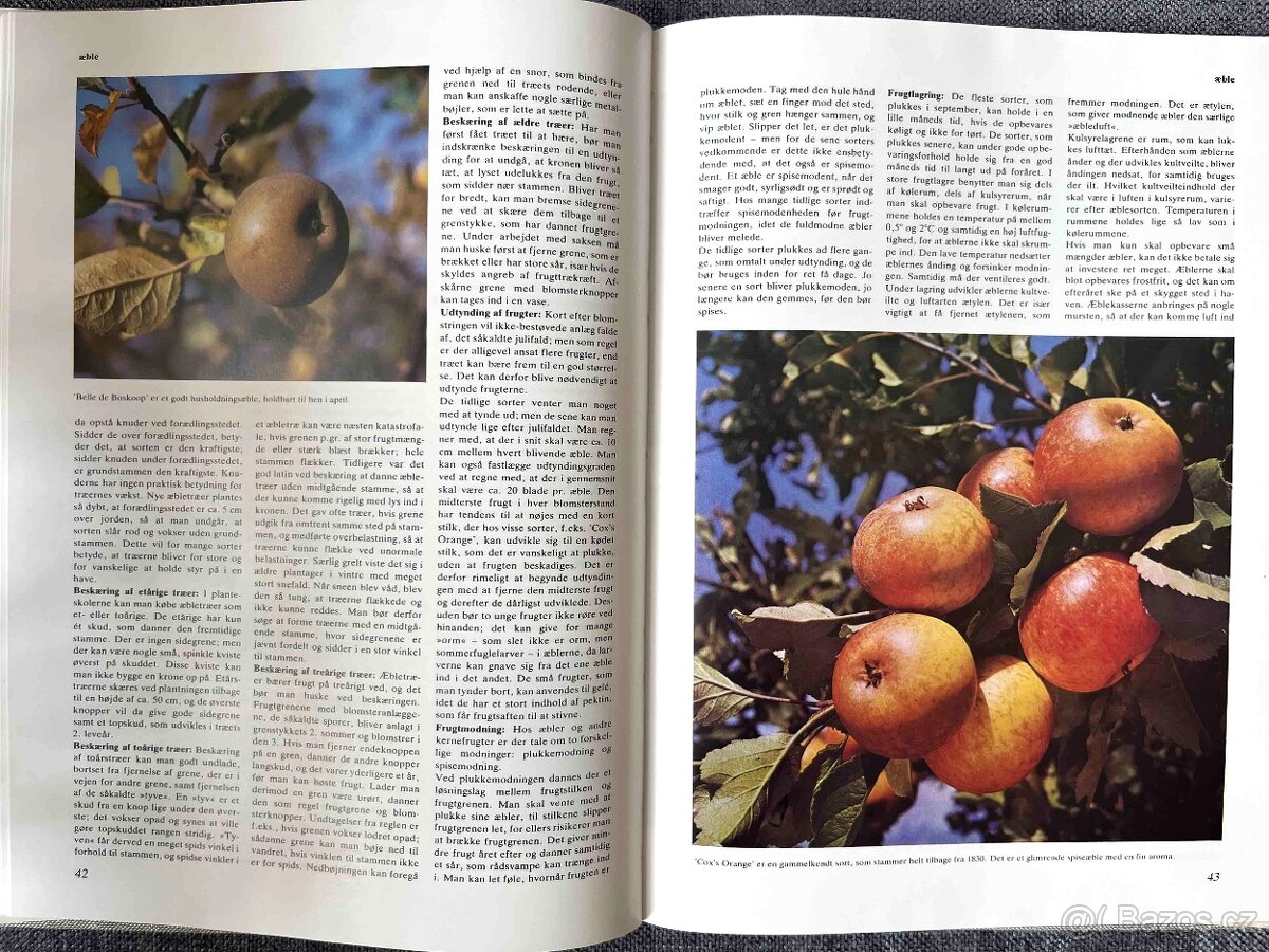 Lademannova encyklopedie v dánštině - 2