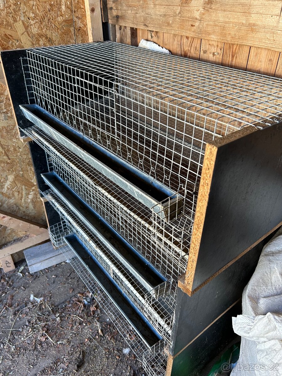 Klece na křepelky - 2