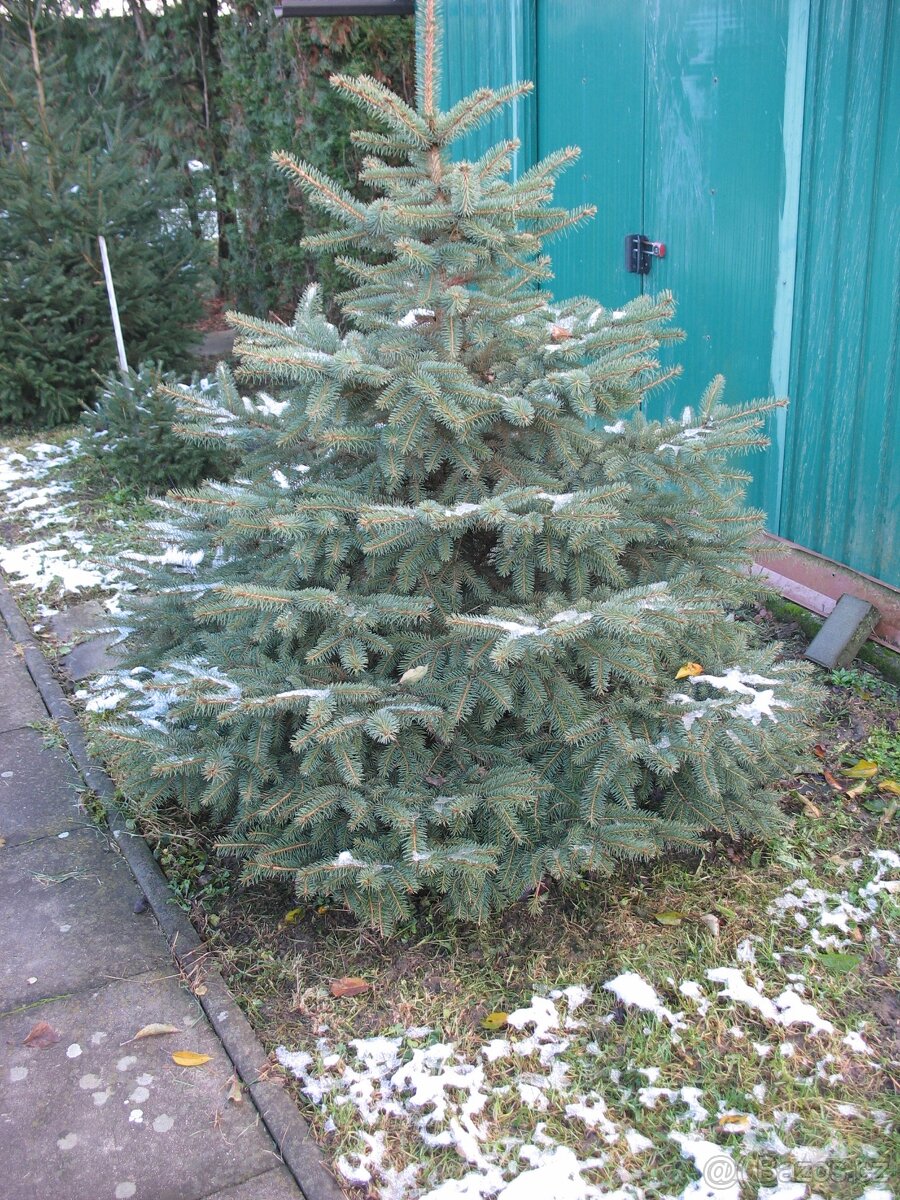 Vánoční stromek - 2