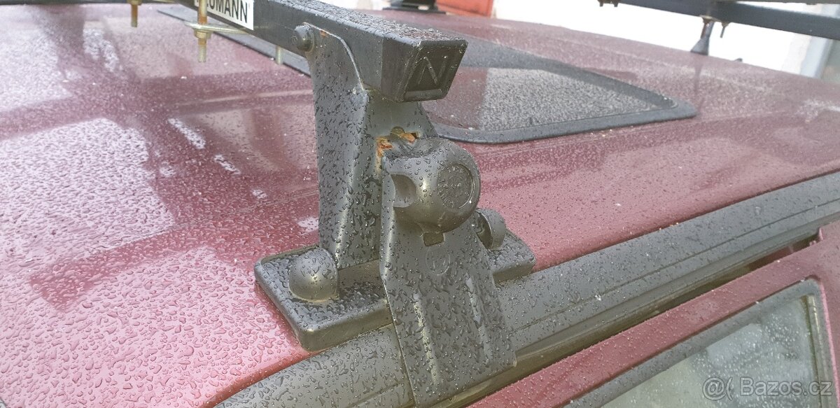 Felicia zahradka - 2