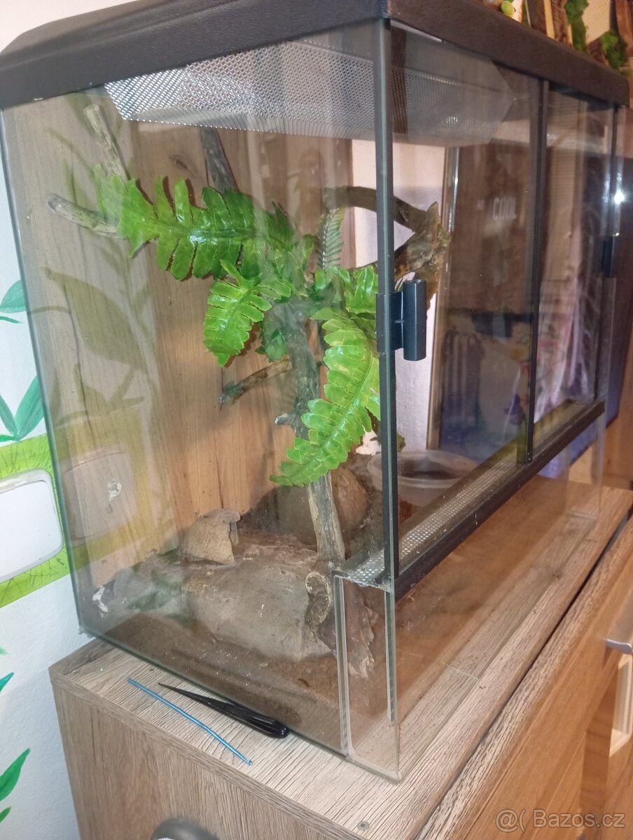 Terarium 45x45x32 - 2