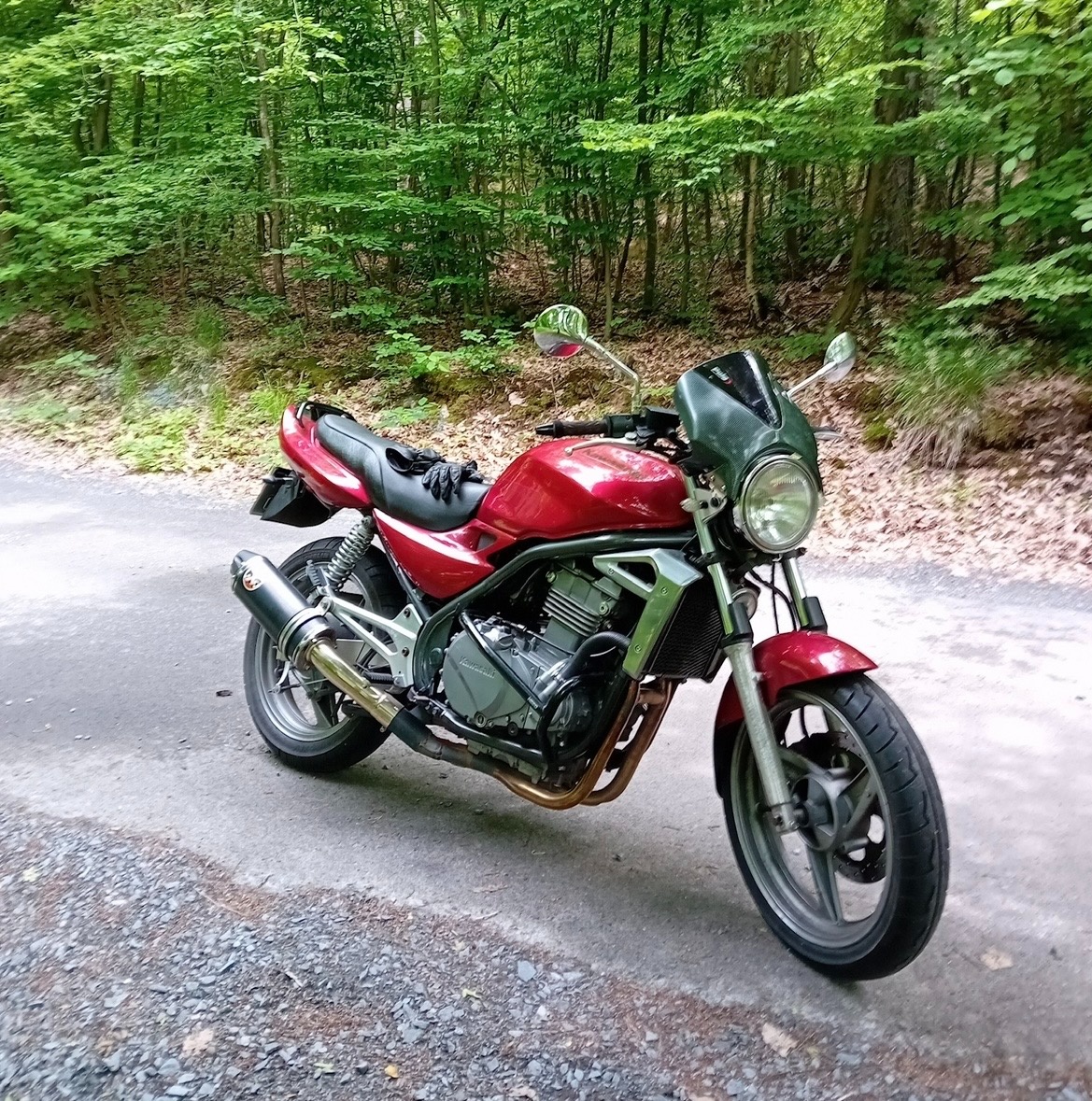 Kawasaki ER5 - 2
