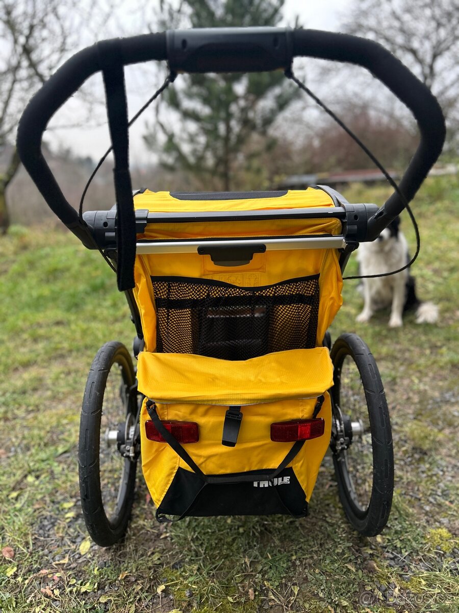 Thule Sport 1 2023 - 2