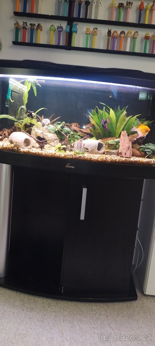 Akvárium 118l. - 2