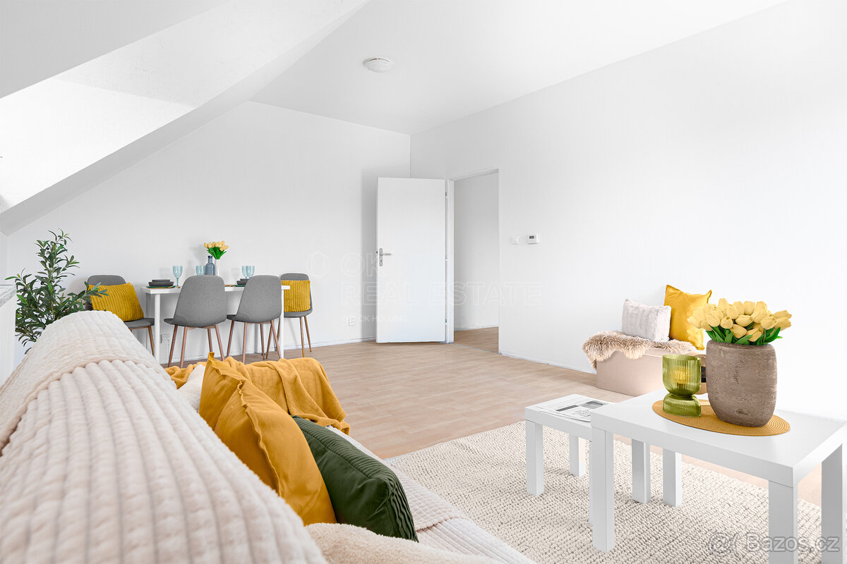 Byt 3+1 ve Zbůchu - 2