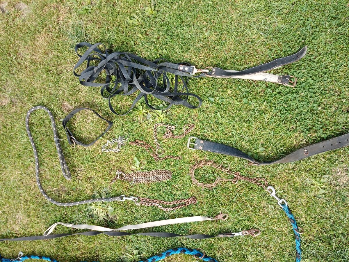 Vybavení pro pejskaře - 2