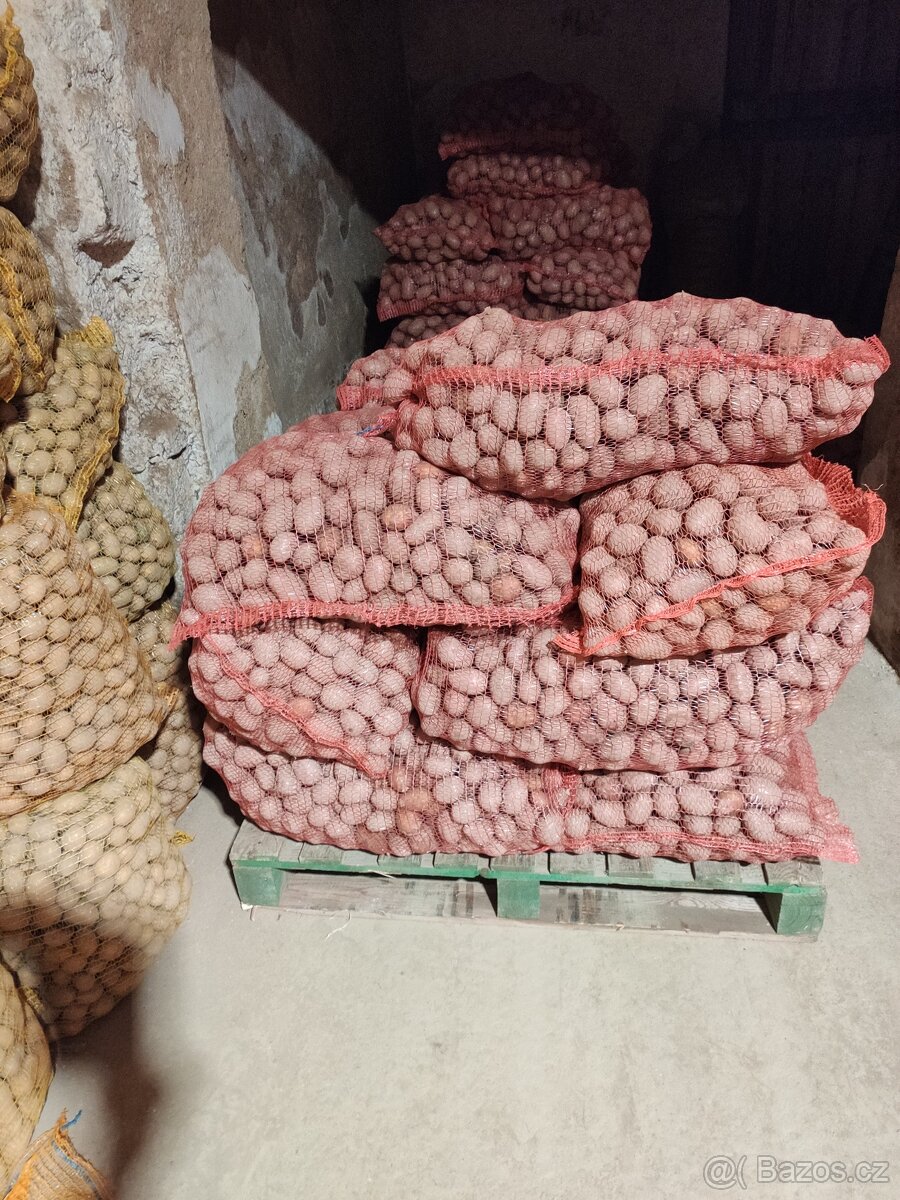 Sadbove brambory - 2