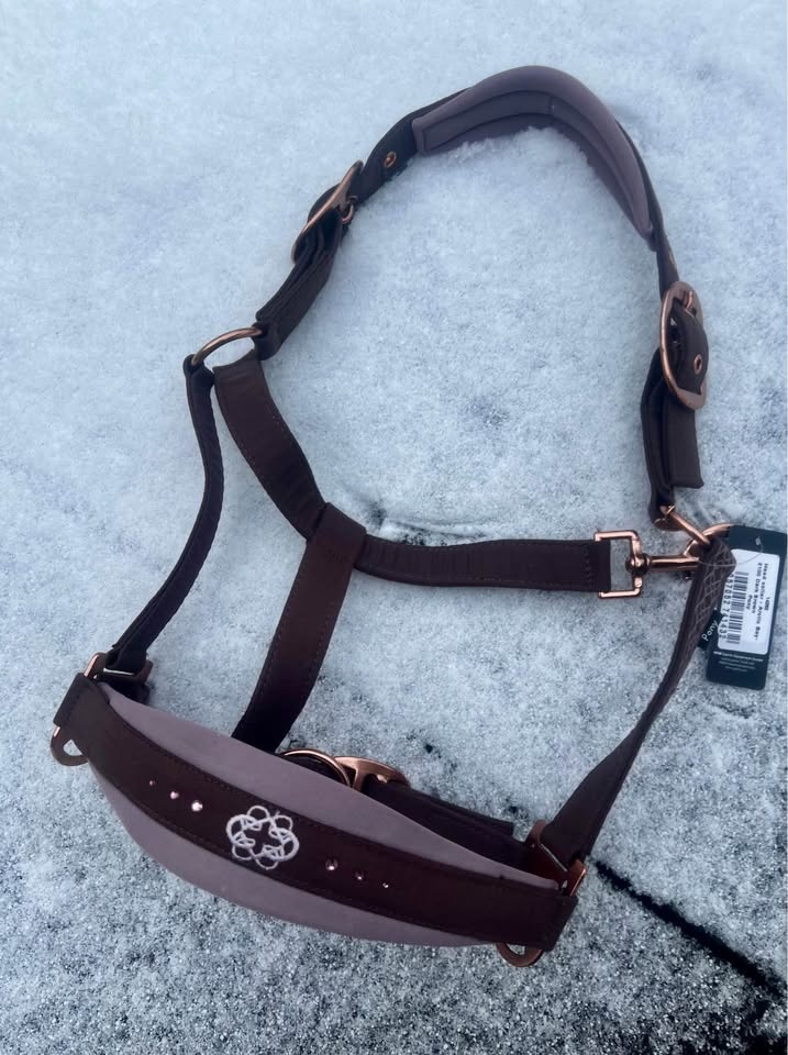 Vypodložená ohlávka - 2