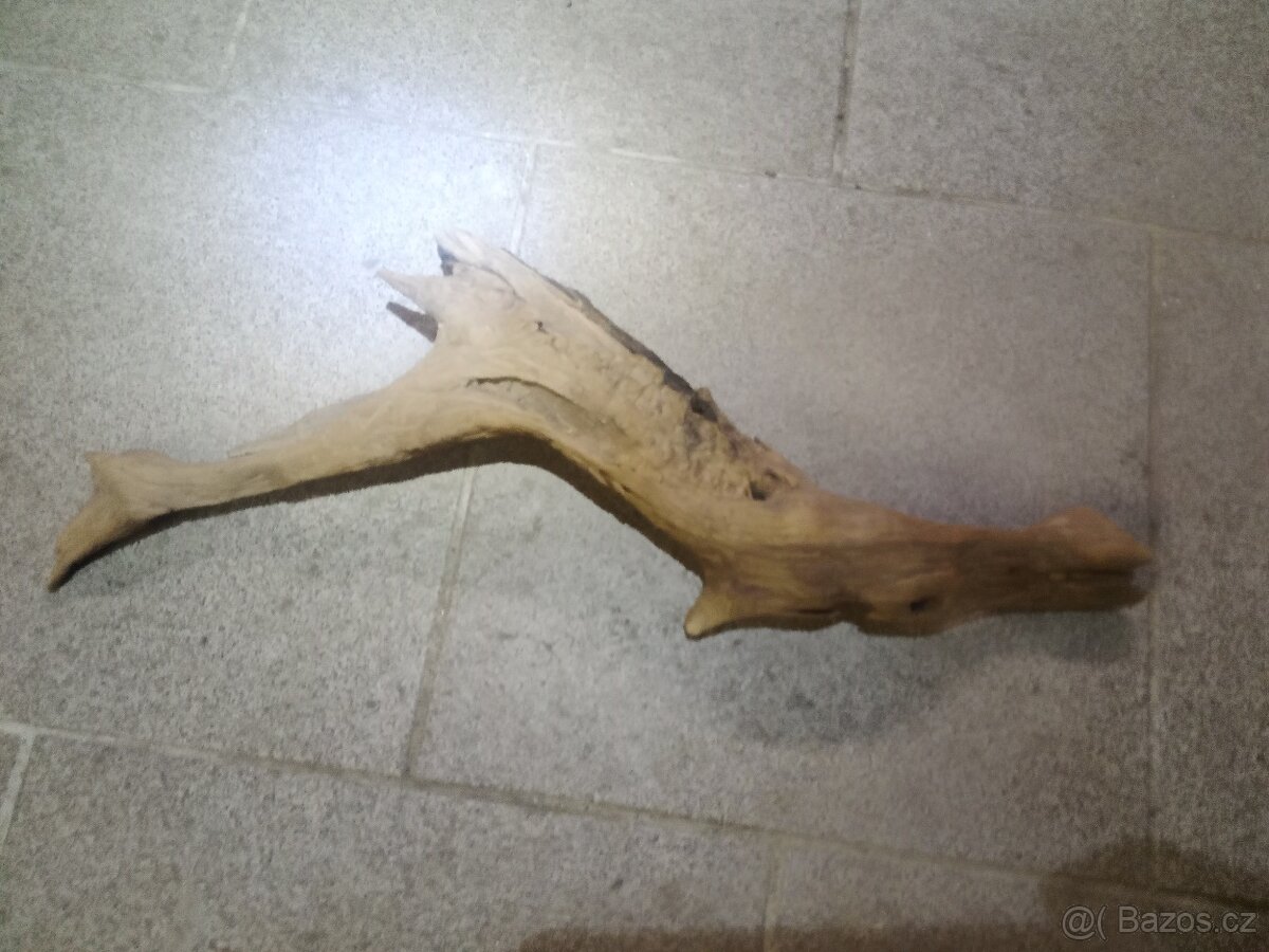 přírodní kořeny do akvária terária - 2