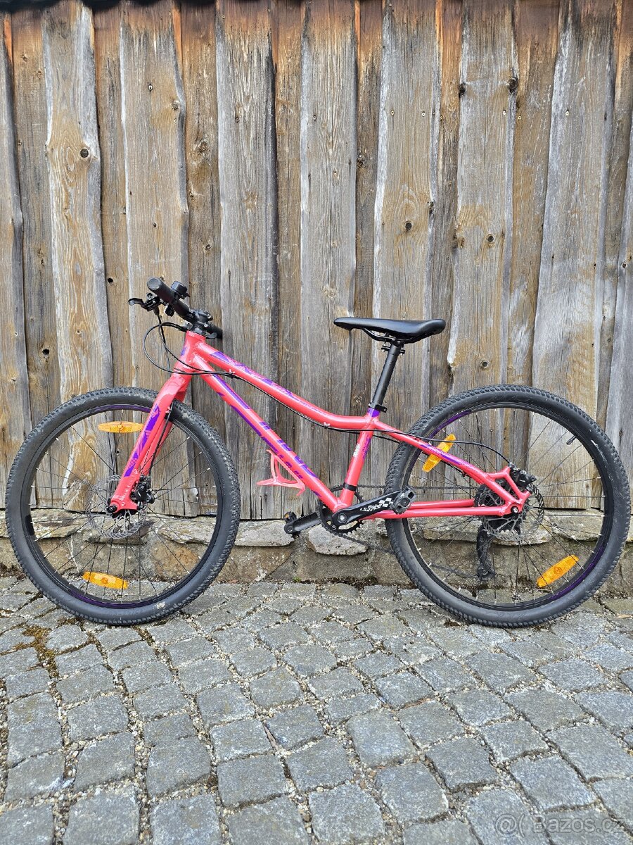 Amulet Youngster 24 - 2