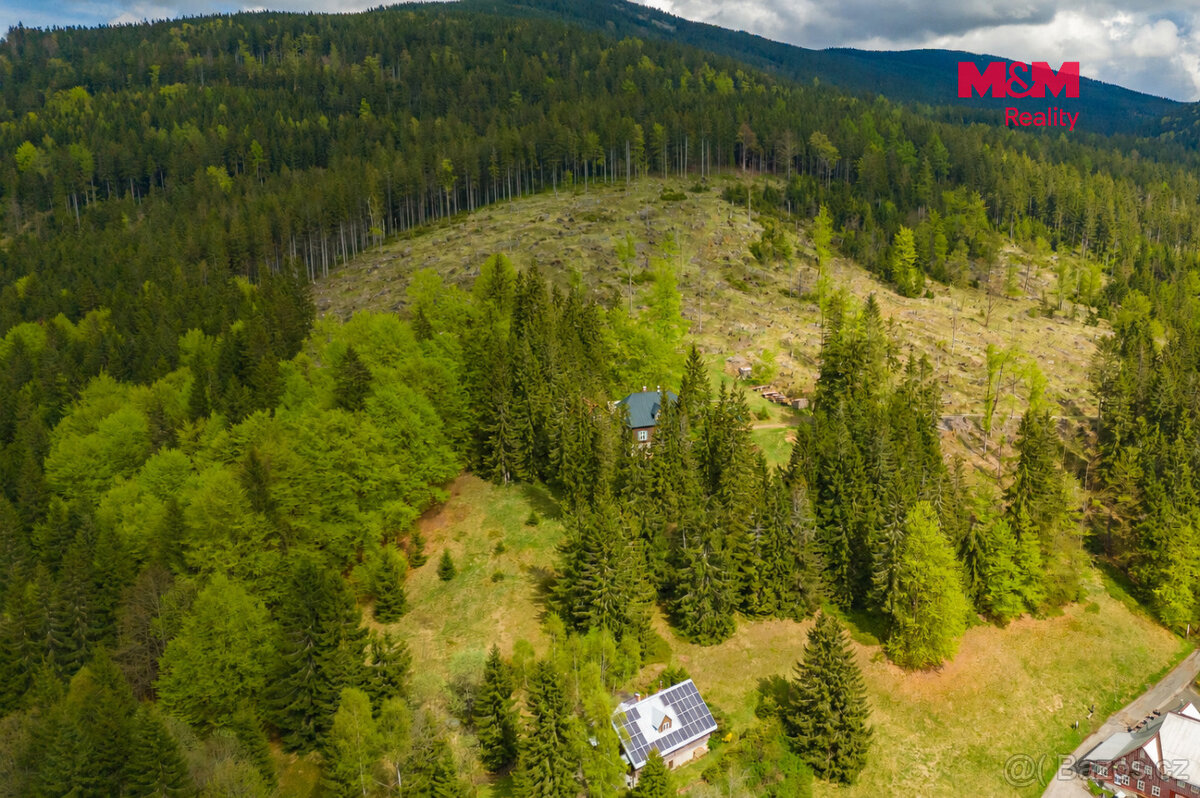 Prodej louky, 8167 m², Harrachov - 2