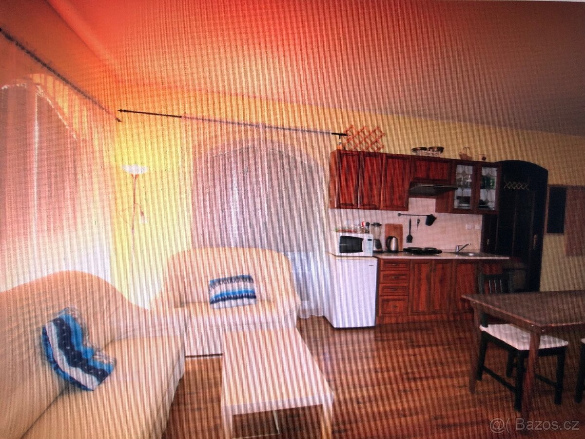 Pronájem pokoje 1+kk, 32 m2, Moravany u Brna - 2