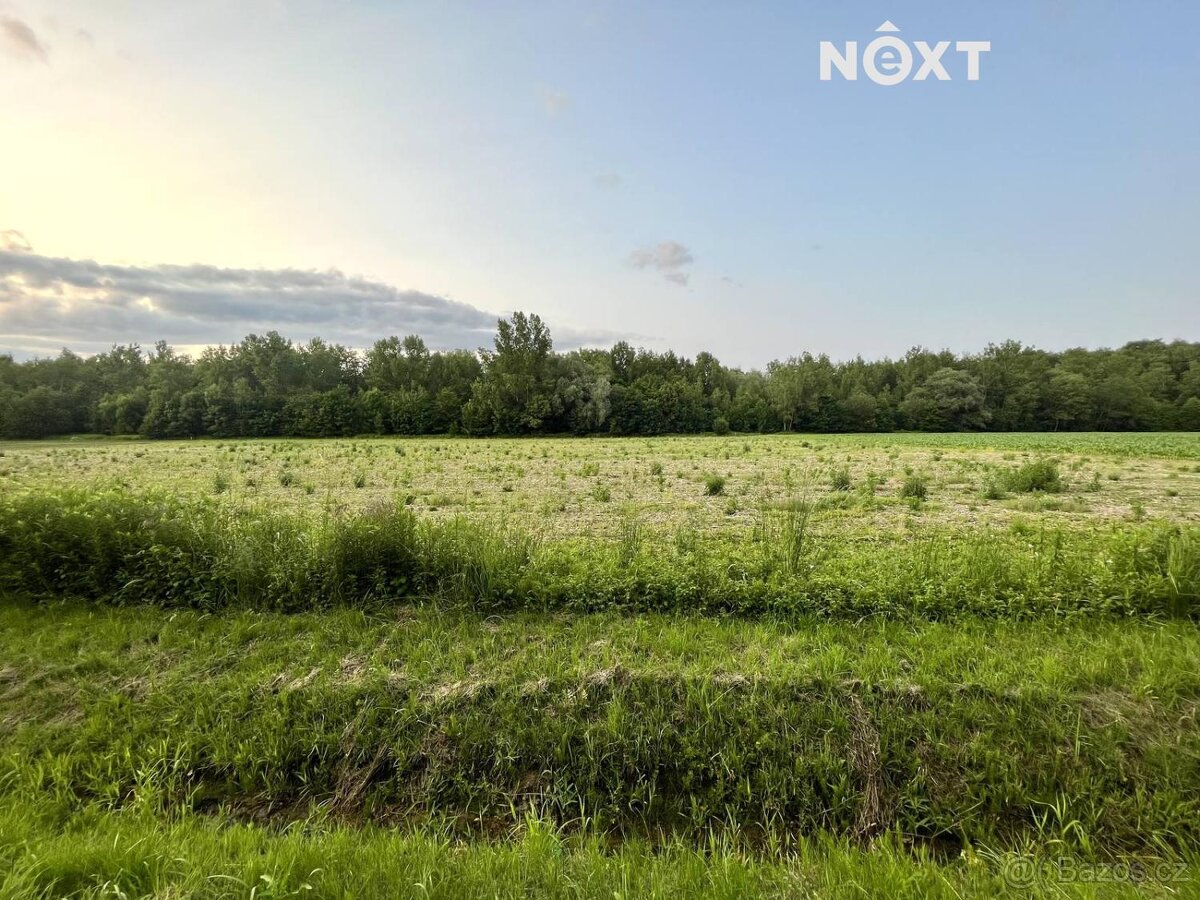 Prodej pozemek Bydlení, 10071㎡ - 2