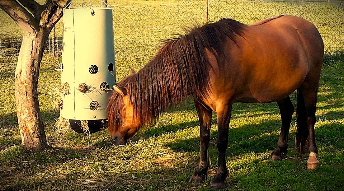 Krmeliště Heu Toy , pomocník na krmení / zábavu pro koně - 2