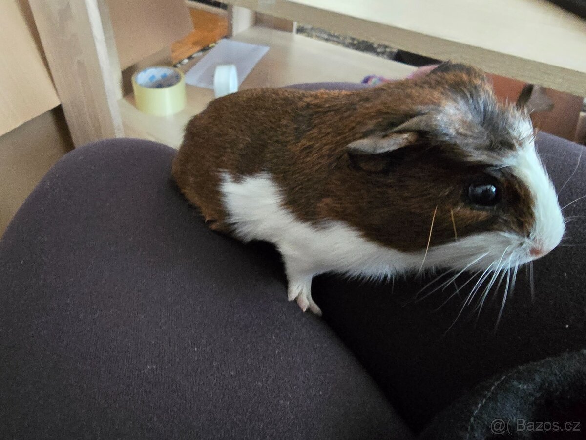 Daruji 4 týdny kluk morce - 2