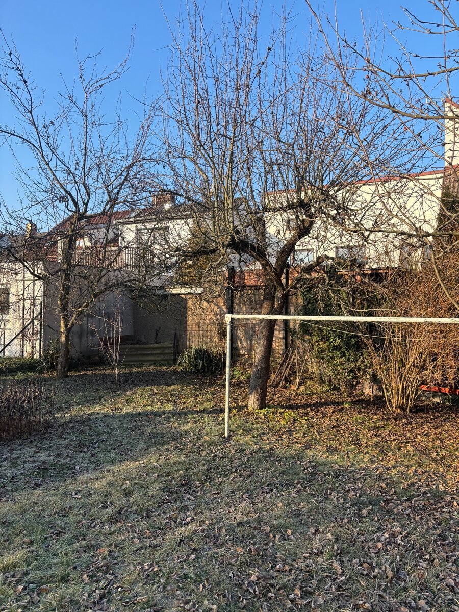 Ovocné stromy na dřevo k pokácení - 2