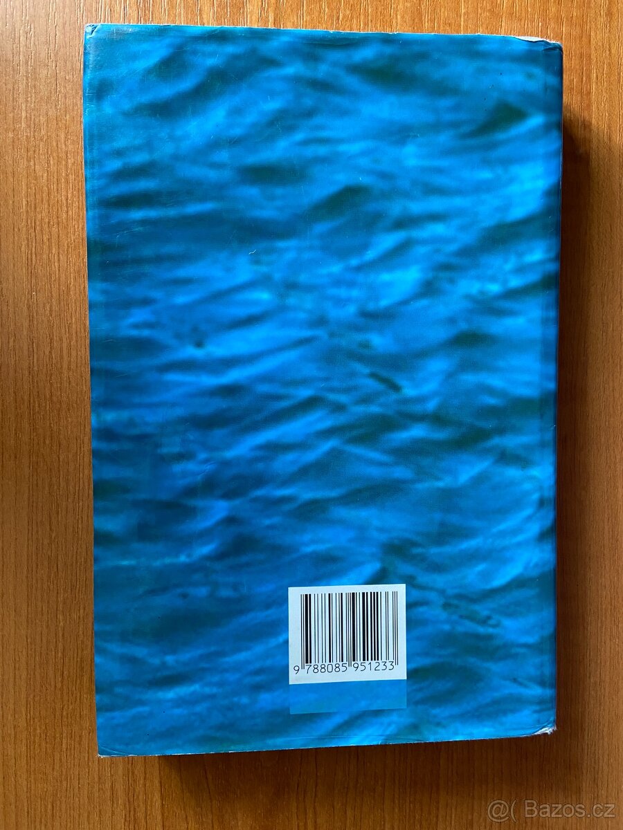 Zaklínač II. - Meč osudu - Andrzej Sapkowski - 2