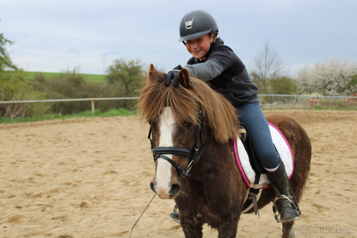 Hodný Pony valach - 2