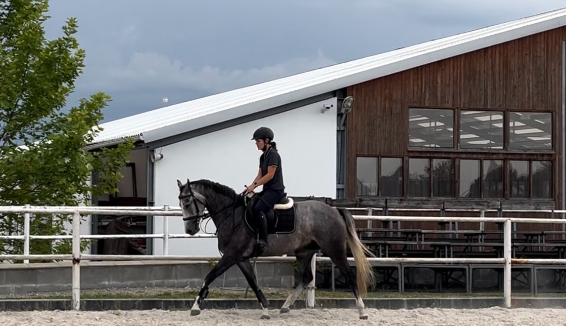 6ti letá klisna po Heartbreak - 2