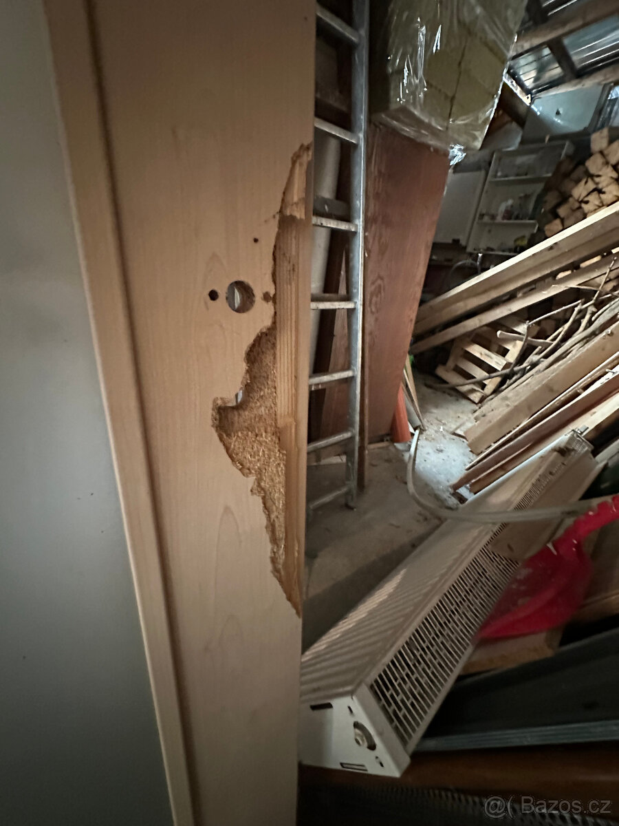 Dveře Sapeli typ Elegant 40, Javor - 2