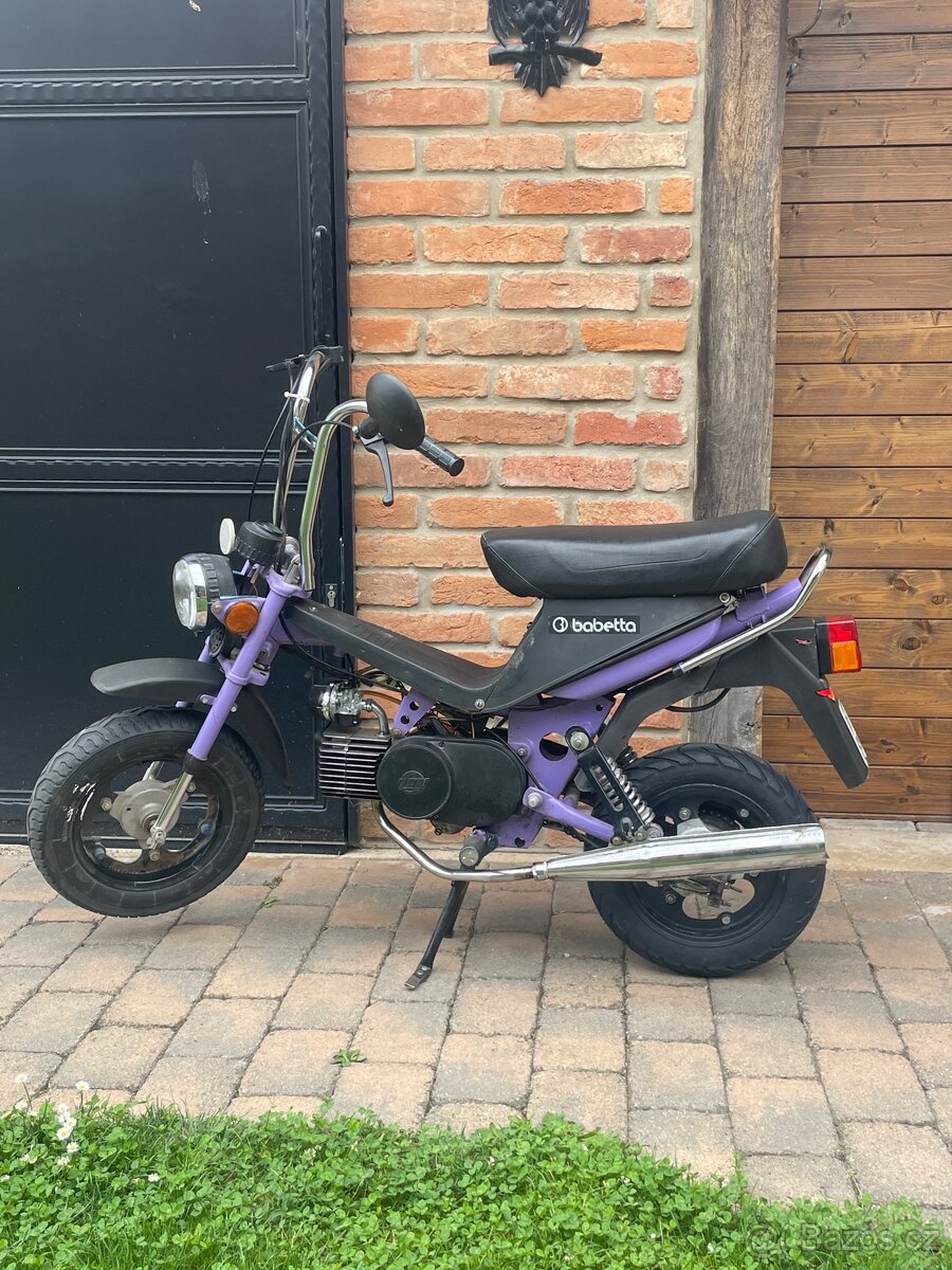 Babetta stella - 2
