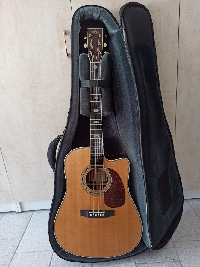 Kytara SIGMA DTC-41E - 2