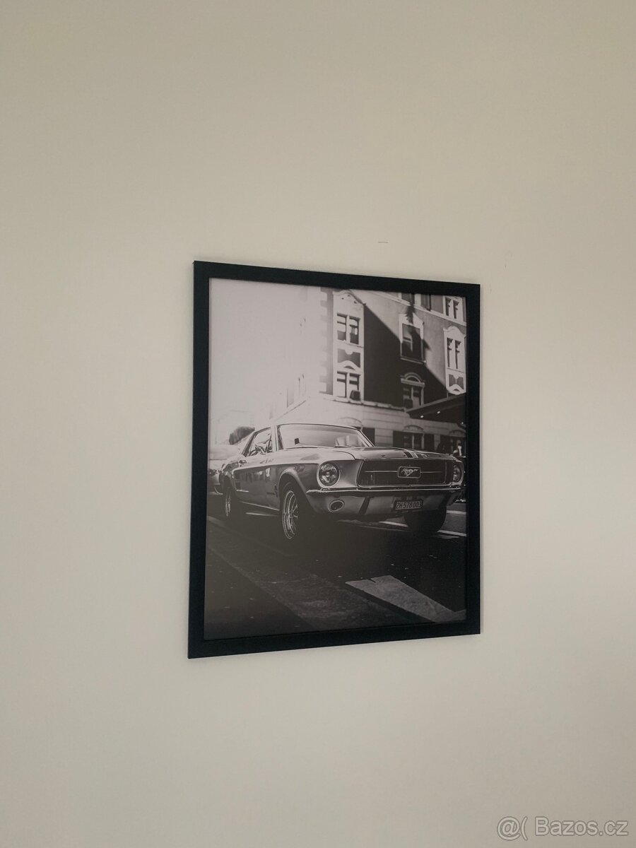 Obraz mustang 50x40 - 2