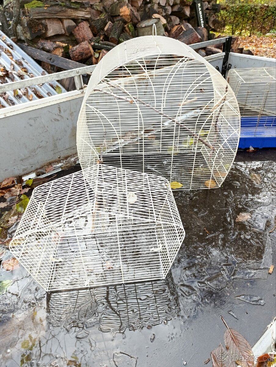 Prodám skelety klecí na ptáky - 2