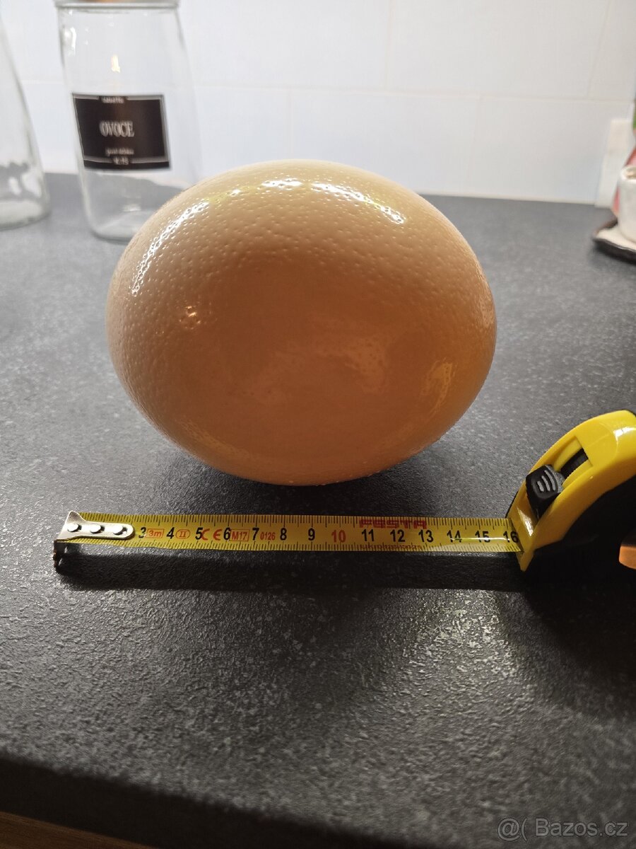 Pštrosí vajíčko - vyfouknuté - 2