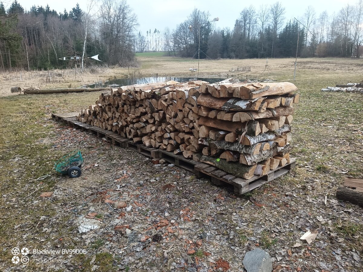 Dřevo,tvrdé, palivové - 2