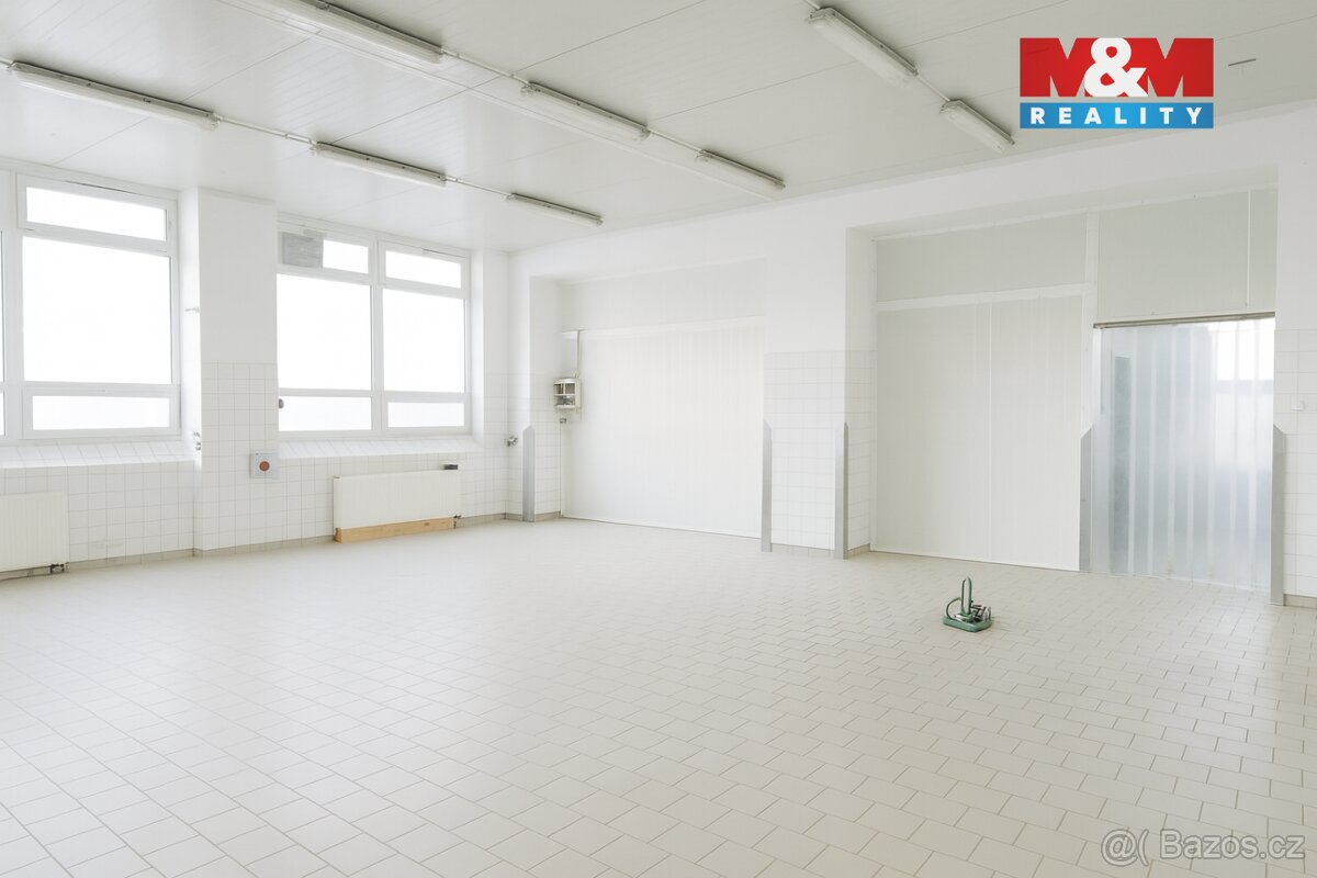 Pronájem skladových a výrobních prostor, ul. Jičínská - 2