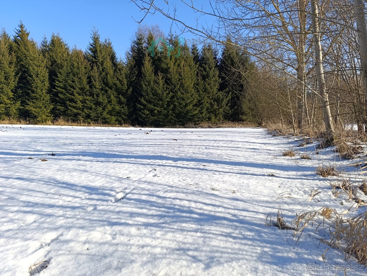 Prodej, pozemek 1.000 m², Křižánky - 2