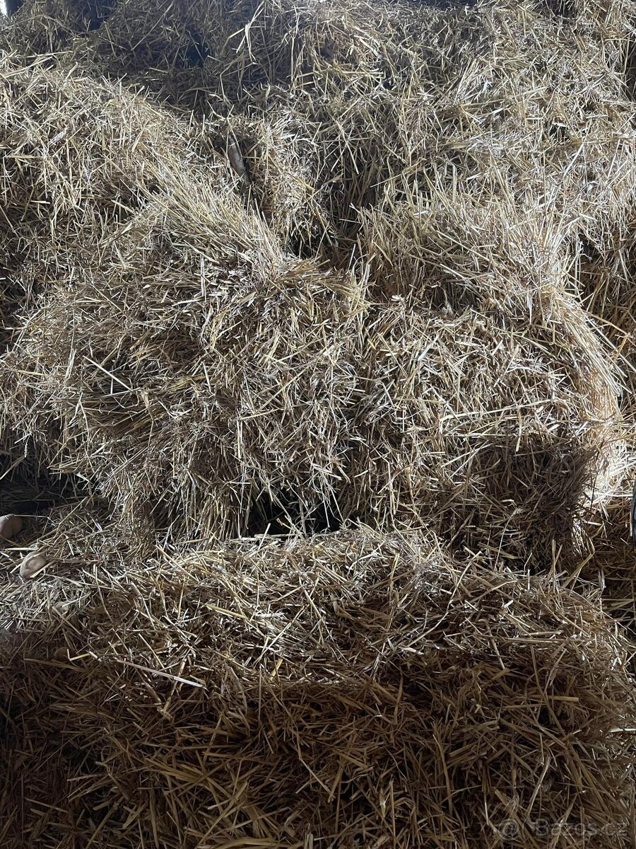 Prodám brambory, obilí a slámu - 2