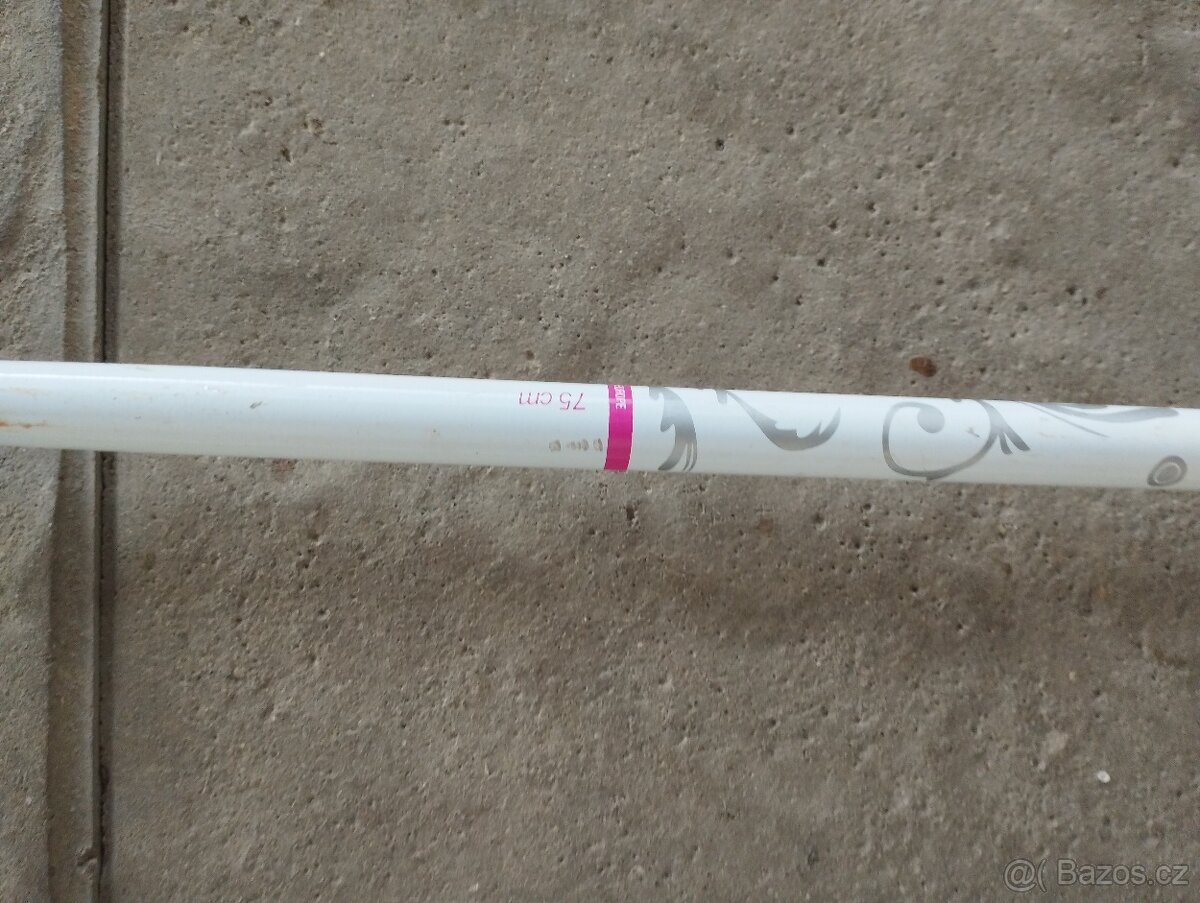 lyžařské boty a hůlky - 2