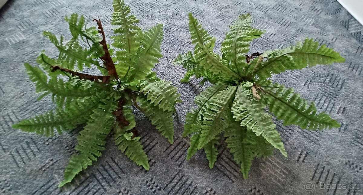 umělé kapradiny - 2