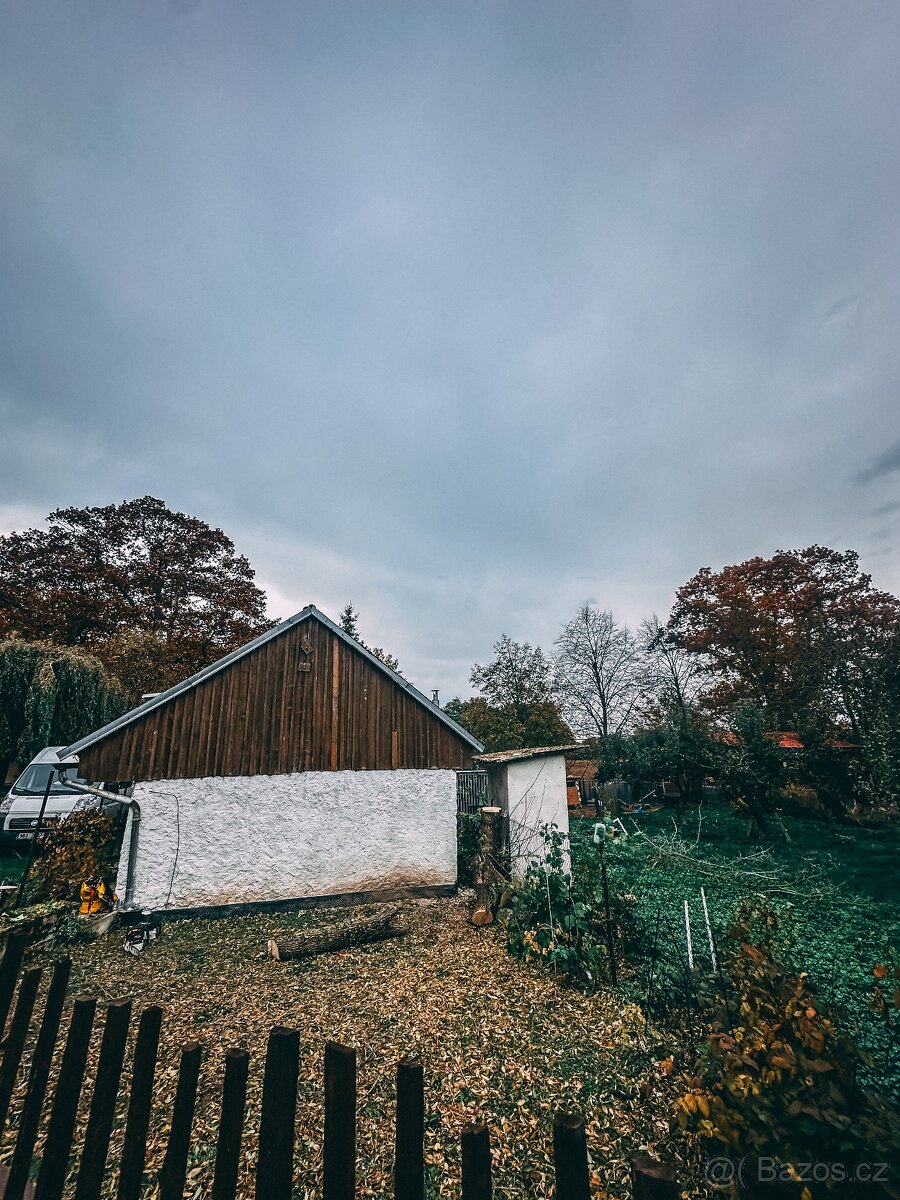 Rizikové kácení stromů - 2