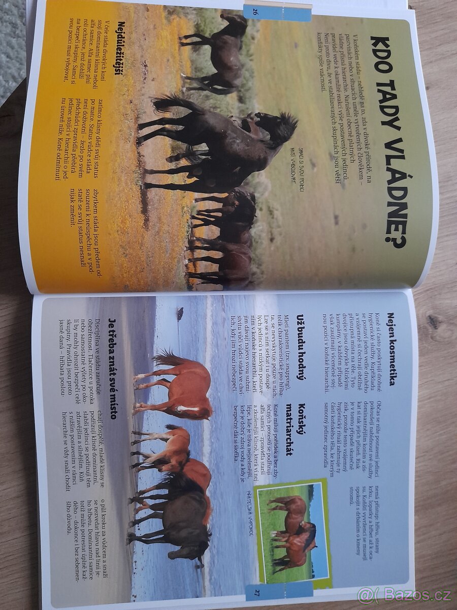 Koné Bookmedia - 2