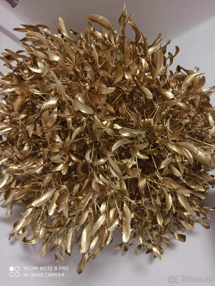 Prodej jmelí 2025🌿 - 2