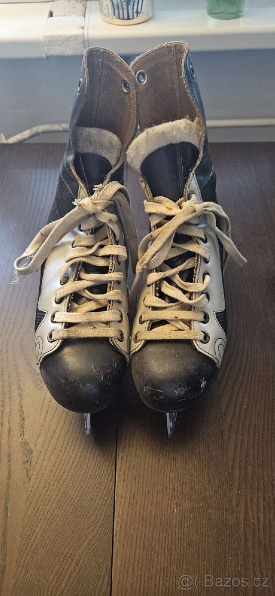 Brusle a boty na běžky - 2