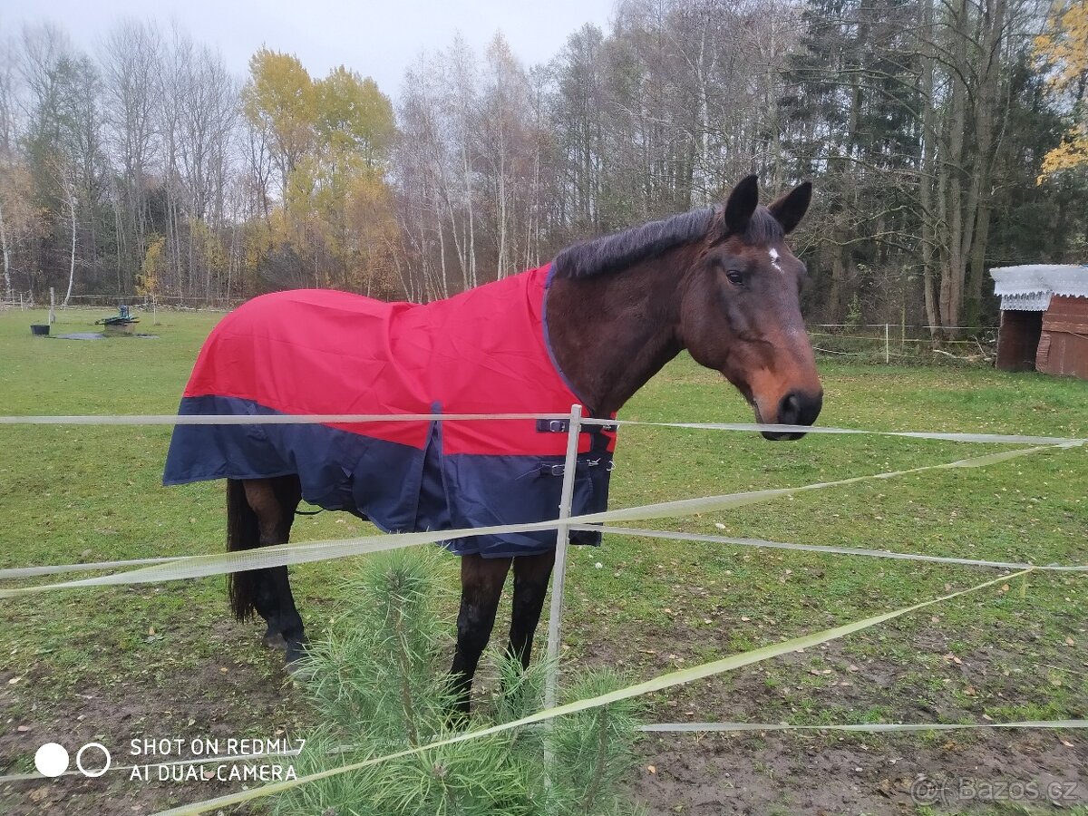 Nabízím ježdění - 2